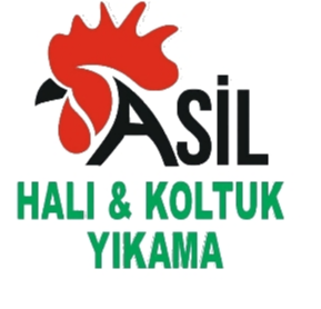Asil Halı & Koltuk Yıkama